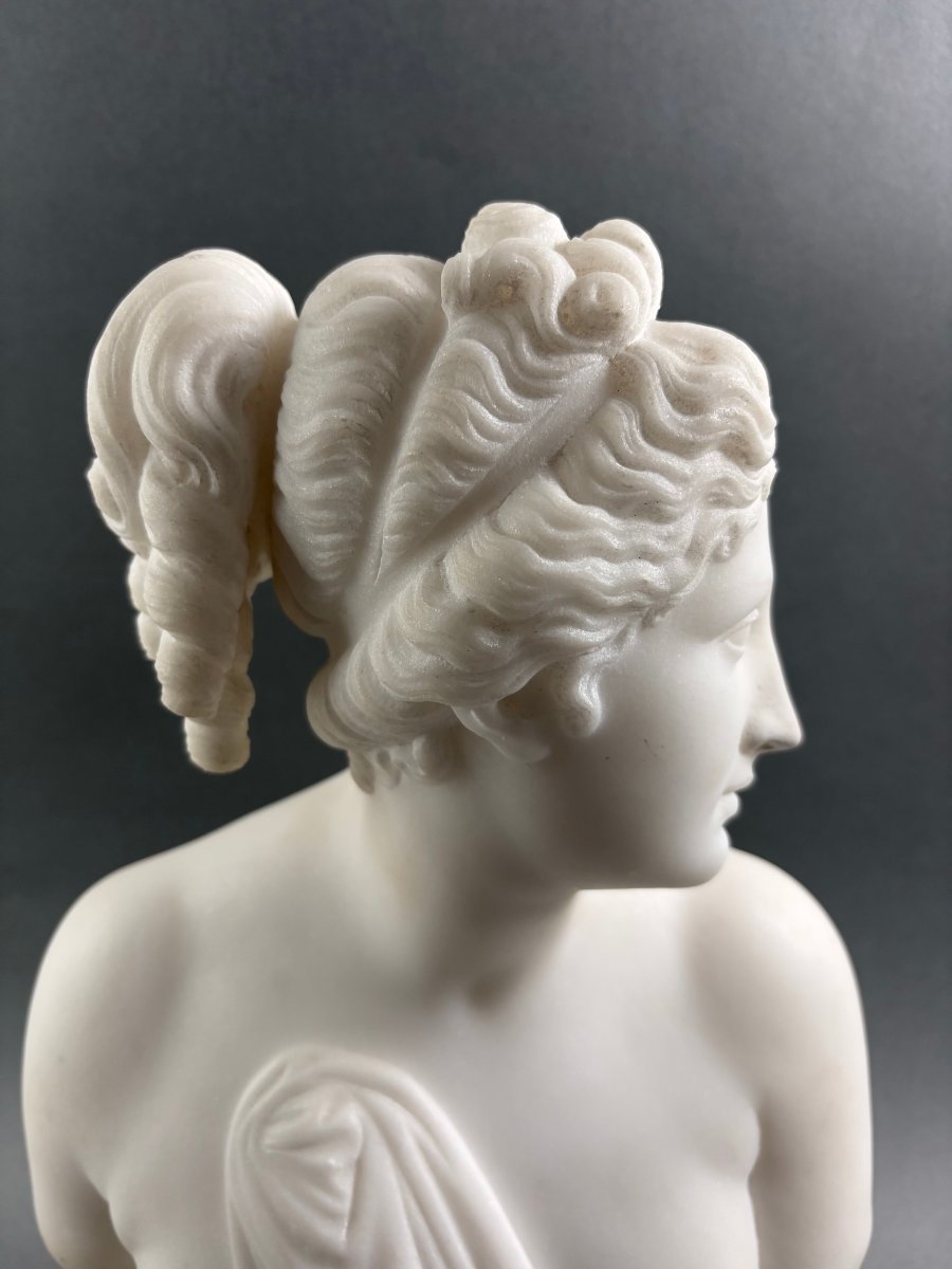 Busto in Marmo della Venere Italica Grand Tour Firenze XIX secolo-photo-2