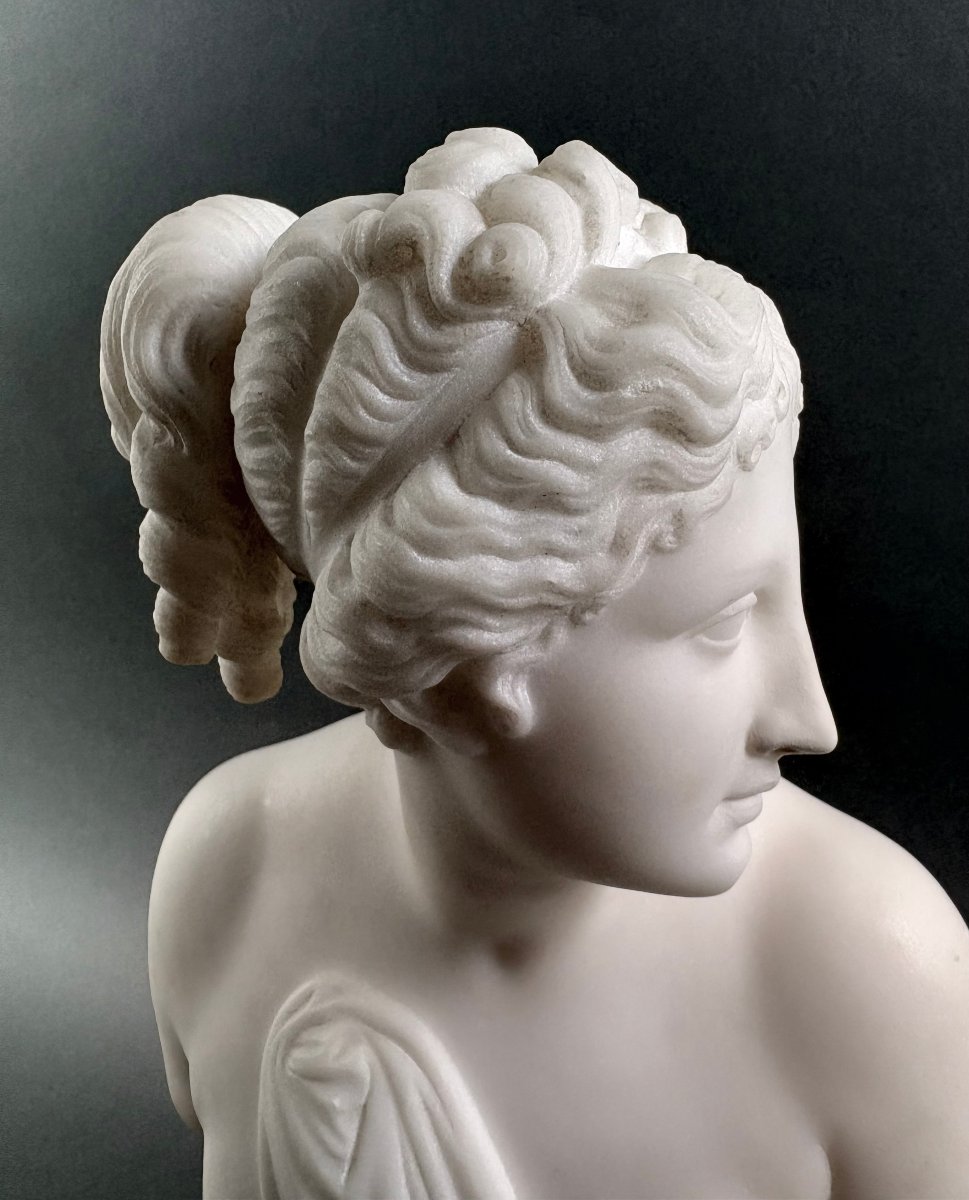 Busto in Marmo della Venere Italica Grand Tour Firenze XIX secolo-photo-3