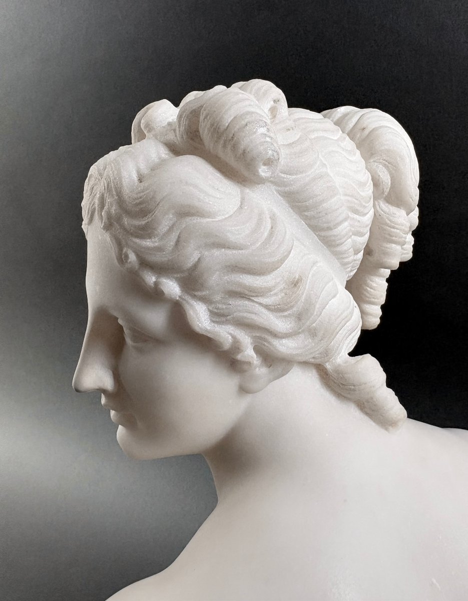 Busto in Marmo della Venere Italica Grand Tour Firenze XIX secolo-photo-6