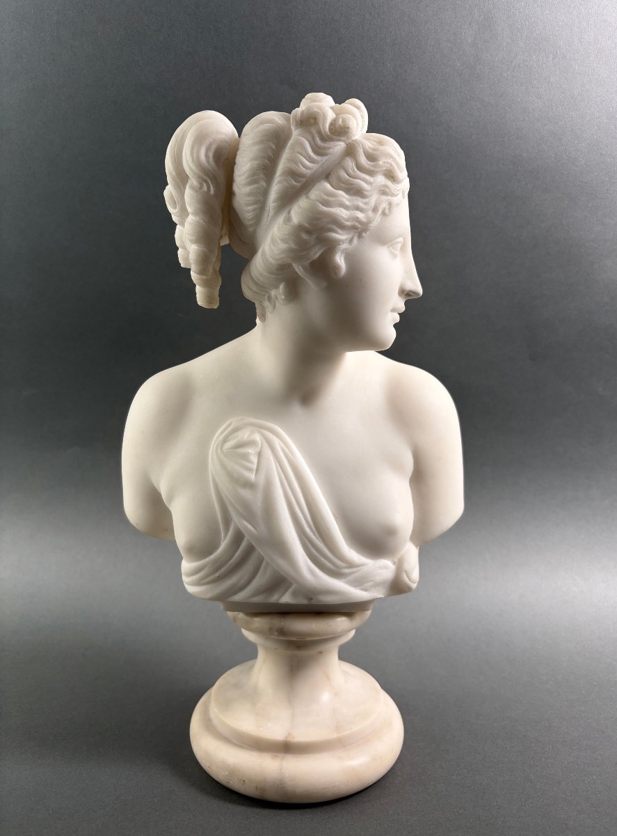 Busto in Marmo della Venere Italica Grand Tour Firenze XIX secolo