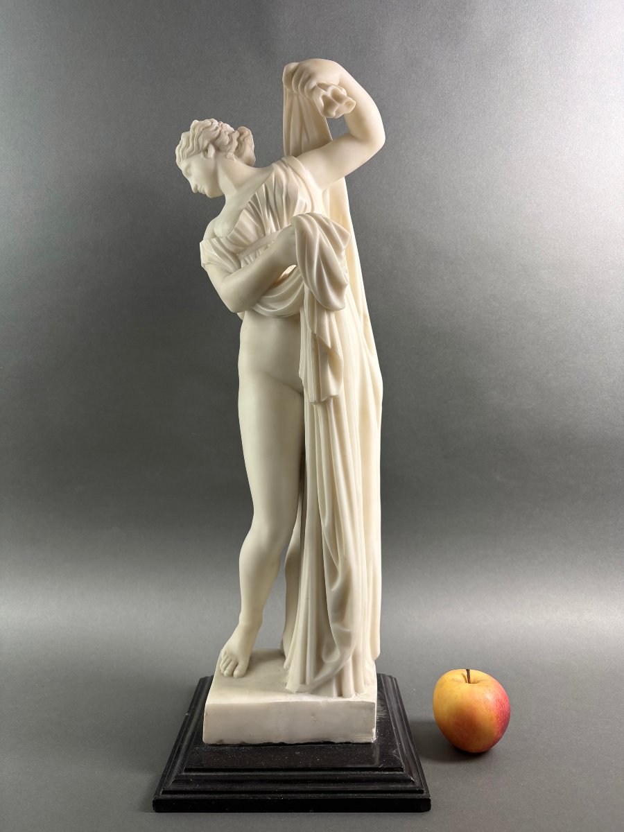 Venere Callipigia Scultura in Marmo Bottega Romana Grand Tour XIX secolo-photo-3
