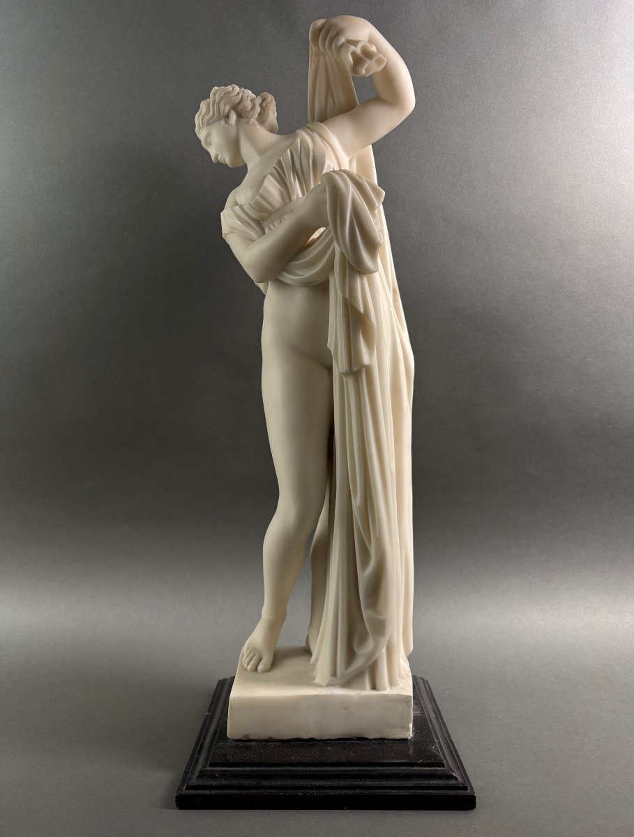 Venere Callipigia Scultura in Marmo Bottega Romana Grand Tour XIX secolo