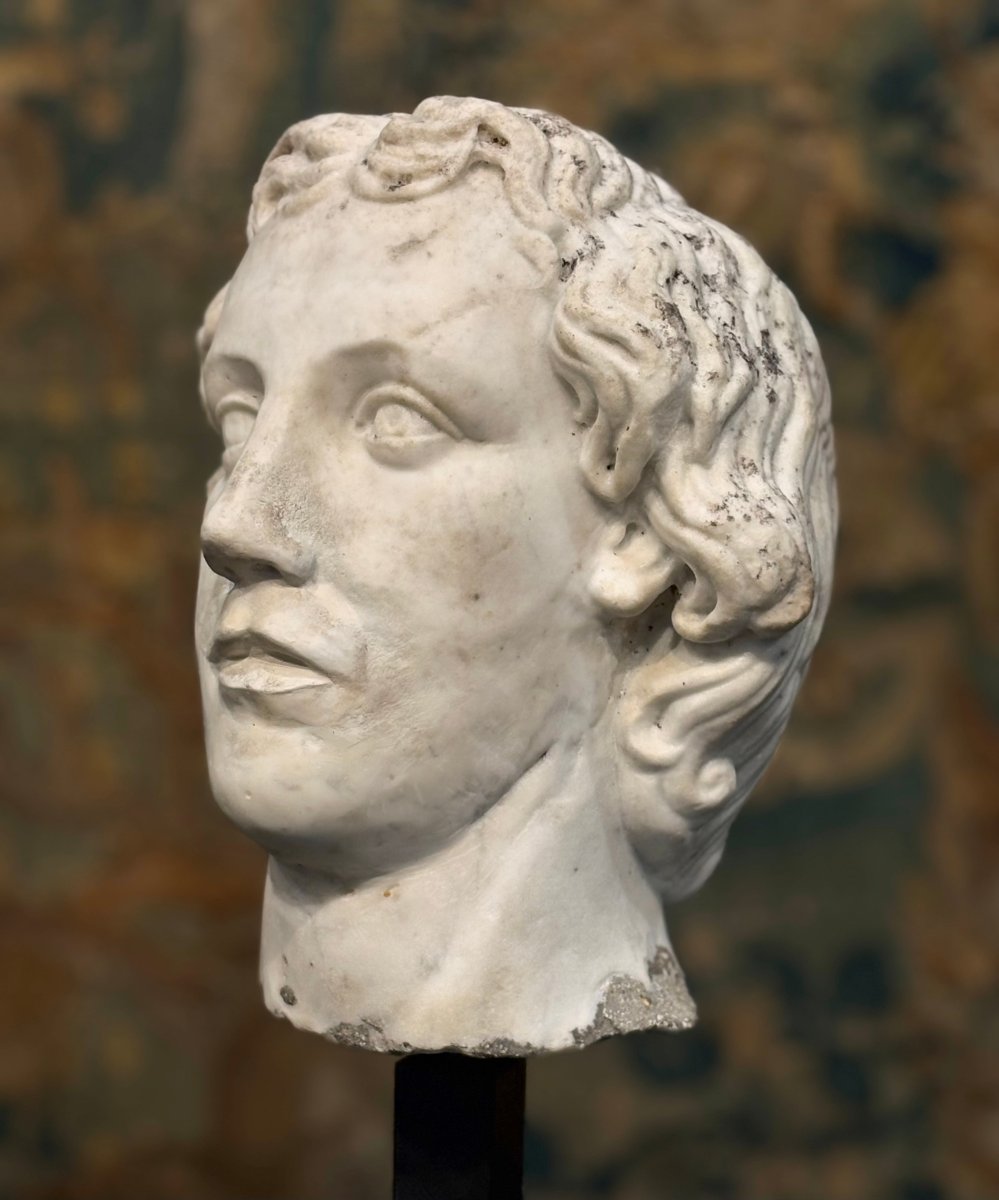 Grande Testa di Alessandro Magno in Marmo Rinascimento Italiano XVI secolo-photo-4