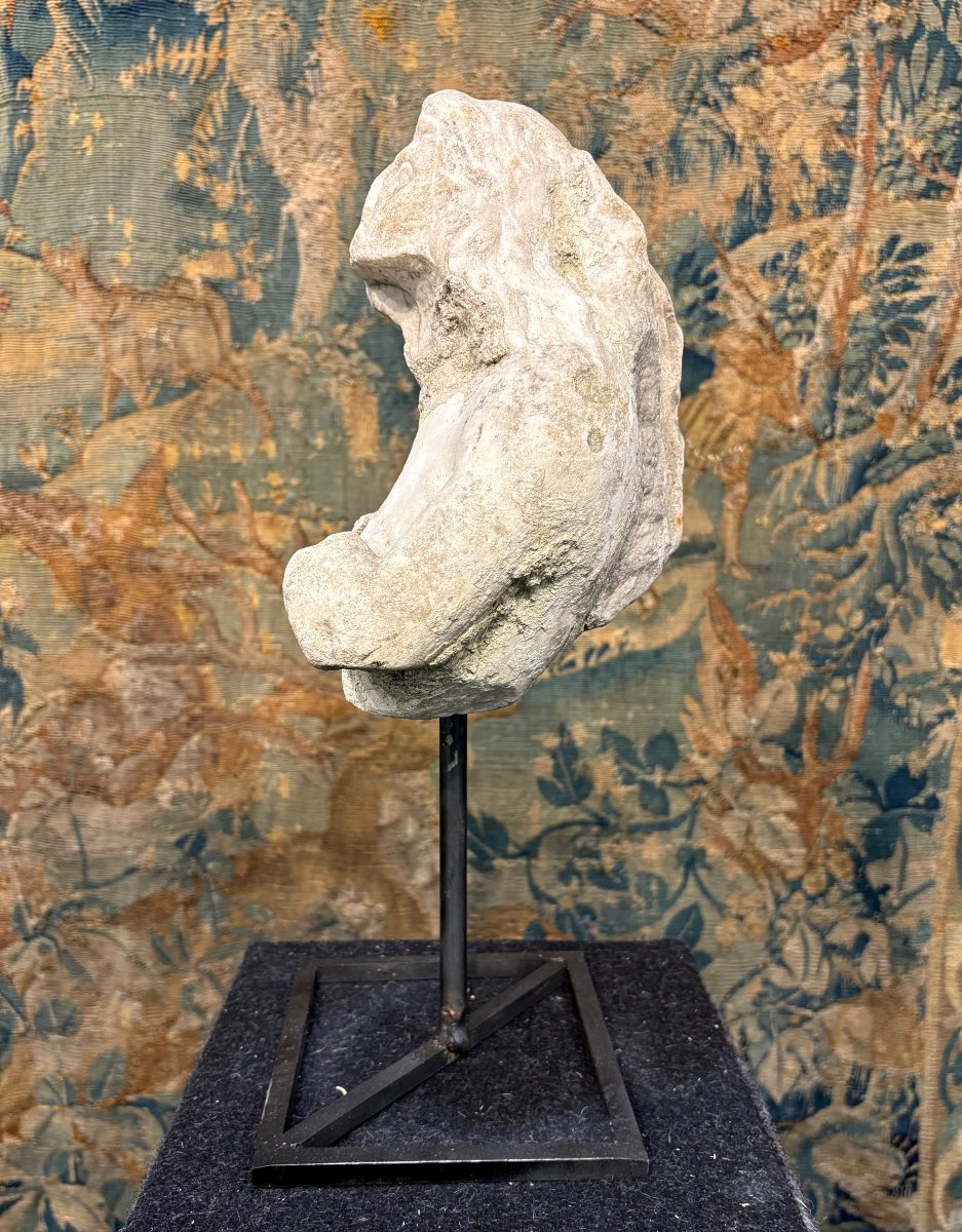 Tritone in Marmo Frammento di Scultura Barocco Italiano metà del  XVII secolo-photo-7