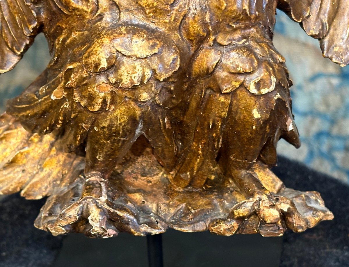 Aquila Neoclassica in Legno Dorato Italia XVIII secolo-photo-3