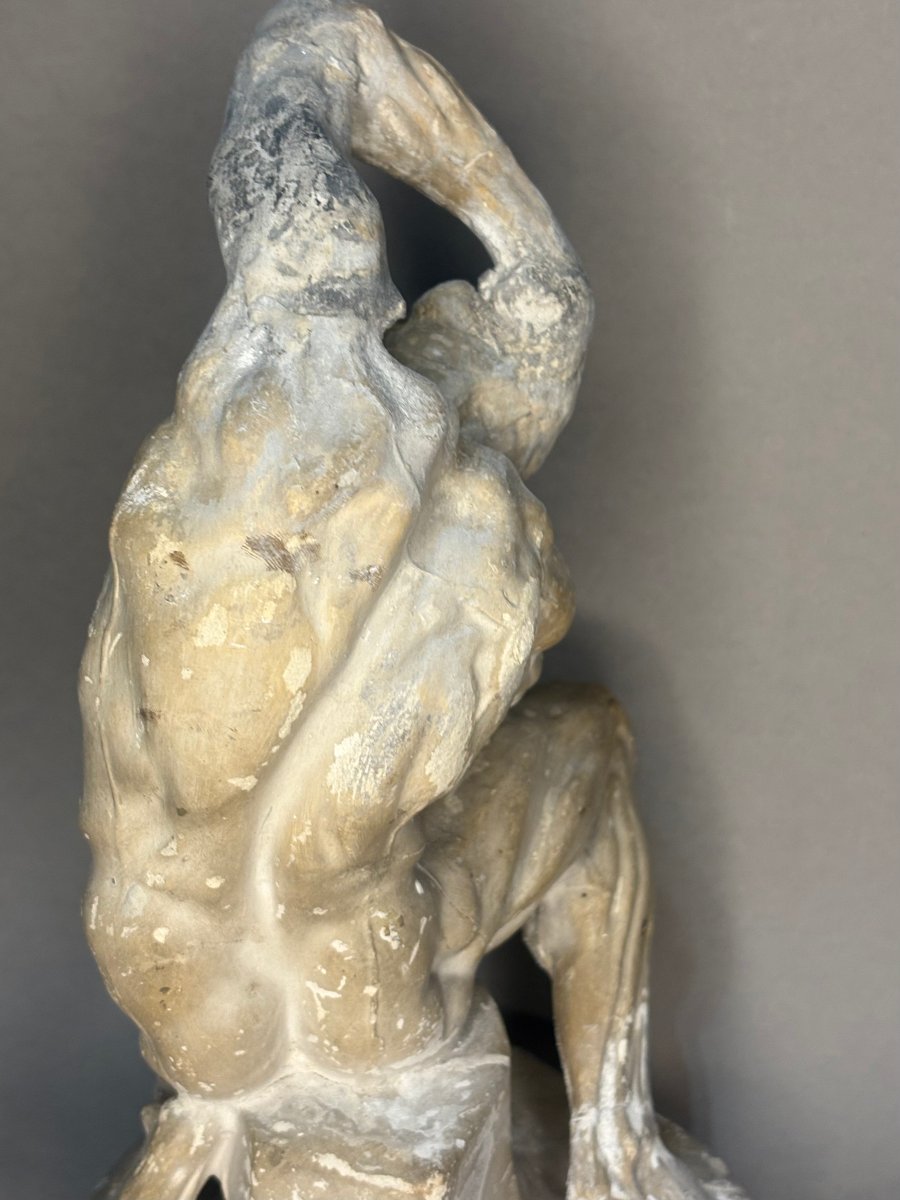Scorticato Modello Anatomico Maschile in Gesso d'Atelier fine XIX-photo-4