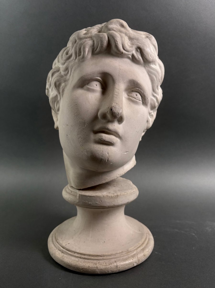 Testa di Ermete in Gesso Modello Accademico o di Atelier primi Novecento