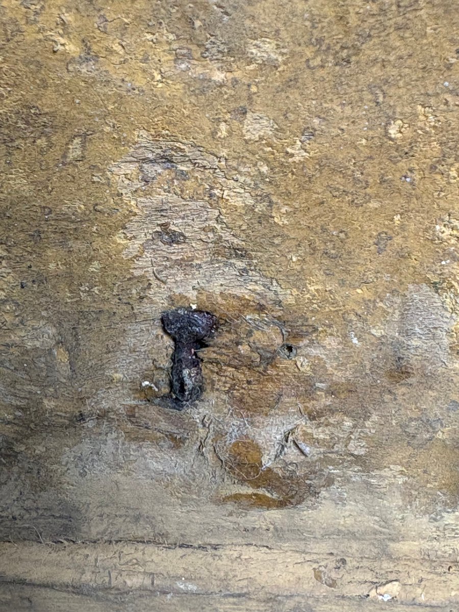 Coppia di Vasi Luigi XVI in Legno dorato Trionfo di Fiori Italia XVIII secolo-photo-4