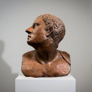 Busto Virile in Terracotta Neoclassico Italia XVIII secolo