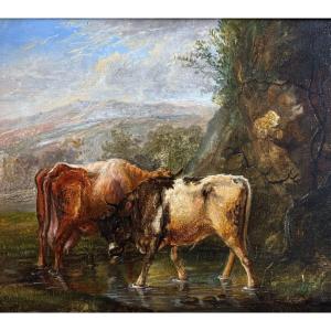 Scuola Fiamminga del XVIII secolo, Il giovane toro, olio su tavola
