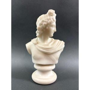 Busto Neoclassico in Marmo Apollo del Belvedere Grand Tour XIX