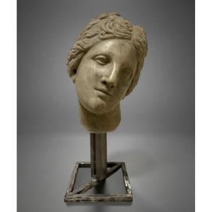 Testa in Marmo della Venere dei Medici Firenze XVII secolo