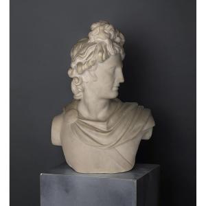 Busto in Marmo Apollo del Belvedere Grand Tour Roma XIX secolo