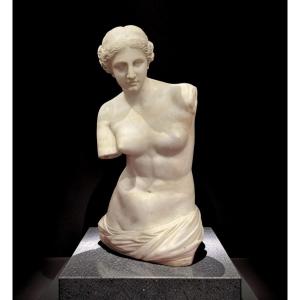 Grande Scultura Neoclassica Alabastro Torso di Venere Italia circa 1860