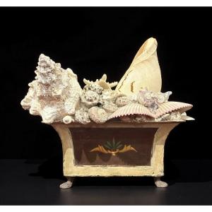 Grande Naturalia Composizione di Conchiglie inizio XX