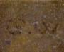 1785519-alb-6a3fef1ca9bfc.jpg