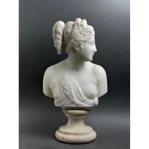 Busto in Marmo della Venere Italica Grand Tour Firenze XIX secolo