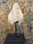 1836326-alb-6acb86a8bef52.jpg