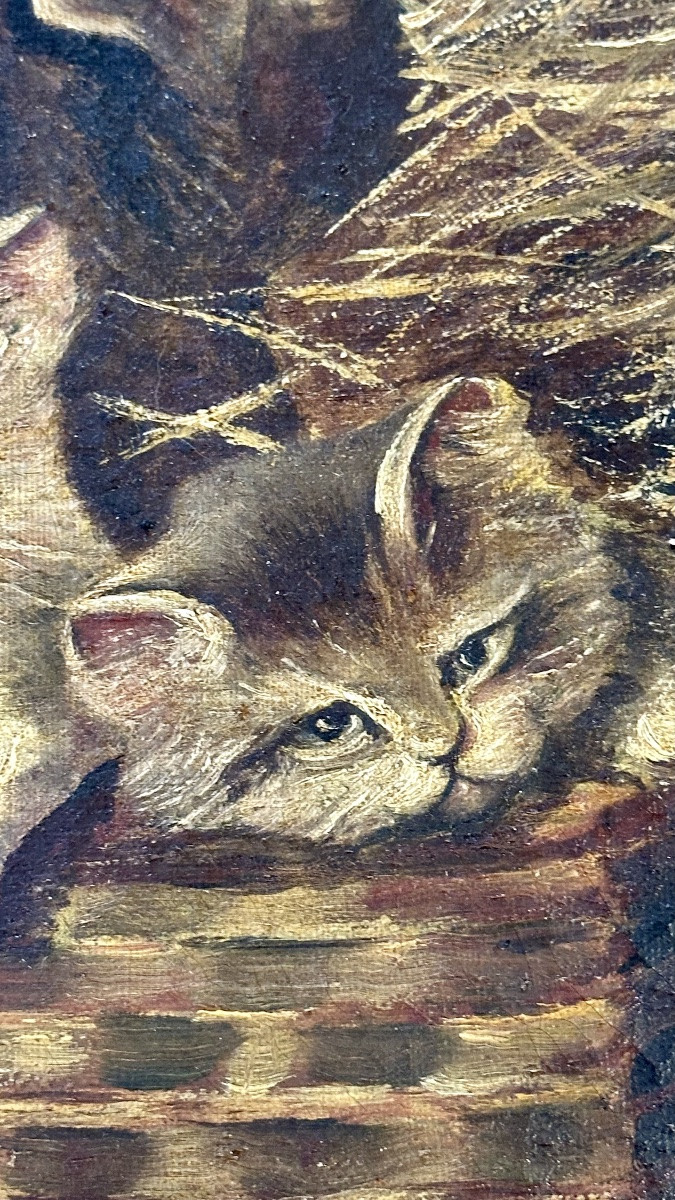 Dipinto di gatti, Olio su tela " Gattini in una valigetta di vimini" - Napoleone III. -photo-4