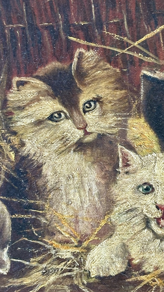 Dipinto di gatti, Olio su tela " Gattini in una valigetta di vimini" - Napoleone III. -photo-2