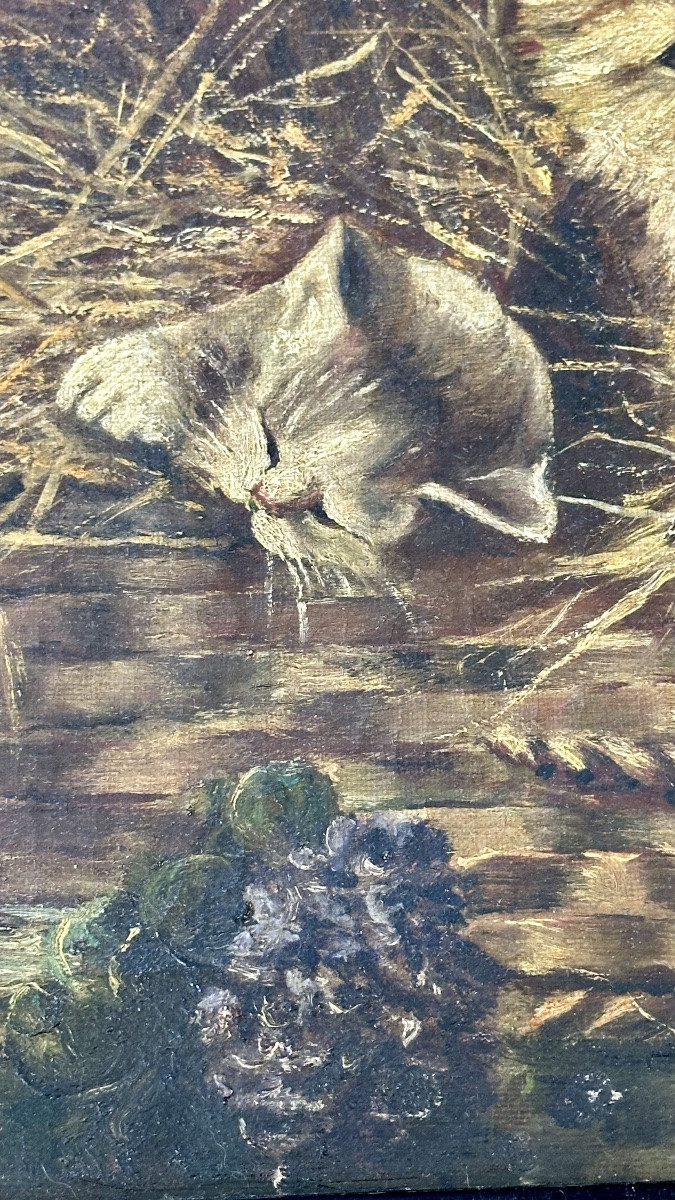 Dipinto di gatti, Olio su tela " Gattini in una valigetta di vimini" - Napoleone III. -photo-3
