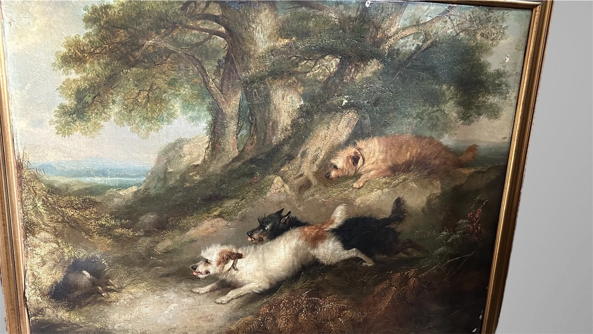 Dipinto, olio su tela, "Terriers che inseguono un coniglio" firmato G. Armfield - XIX sec. -photo-2