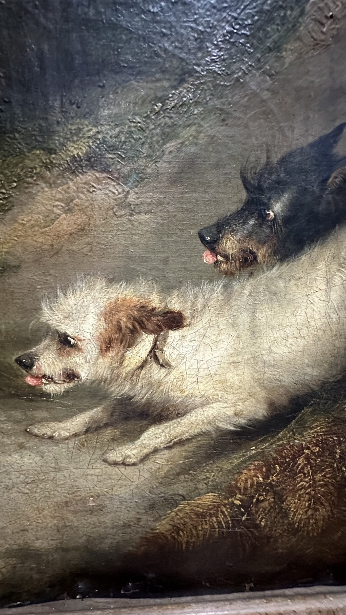Dipinto, olio su tela, "Terriers che inseguono un coniglio" firmato G. Armfield - XIX sec. -photo-4