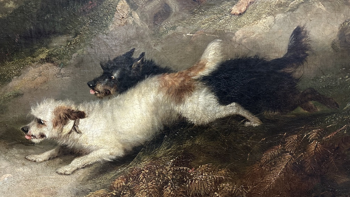Dipinto, olio su tela, "Terriers che inseguono un coniglio" firmato G. Armfield - XIX sec. -photo-1