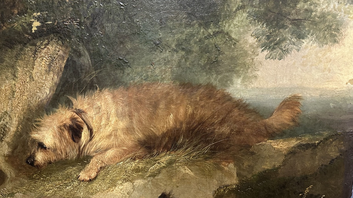 Dipinto, olio su tela, "Terriers che inseguono un coniglio" firmato G. Armfield - XIX sec. -photo-2