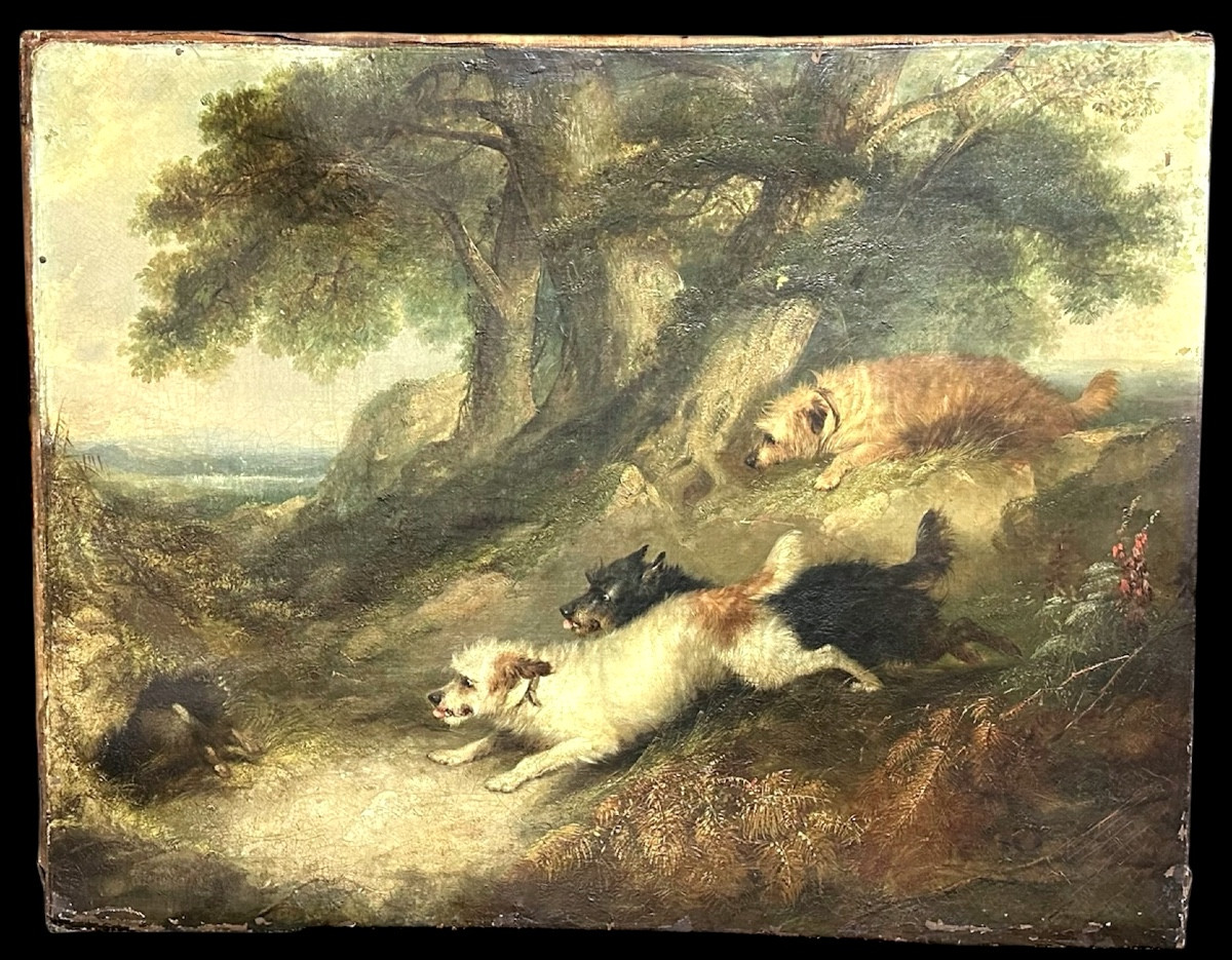 Dipinto, olio su tela, "Terriers che inseguono un coniglio" firmato G. Armfield - XIX sec. 
