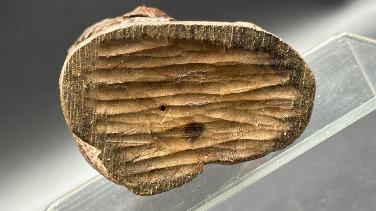 Calamaio in legno “ Gufo”, foresta nera - XIX sec. -photo-7
