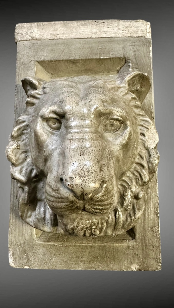 Coppia di teste di leone in stucco – XIX secolo-photo-3