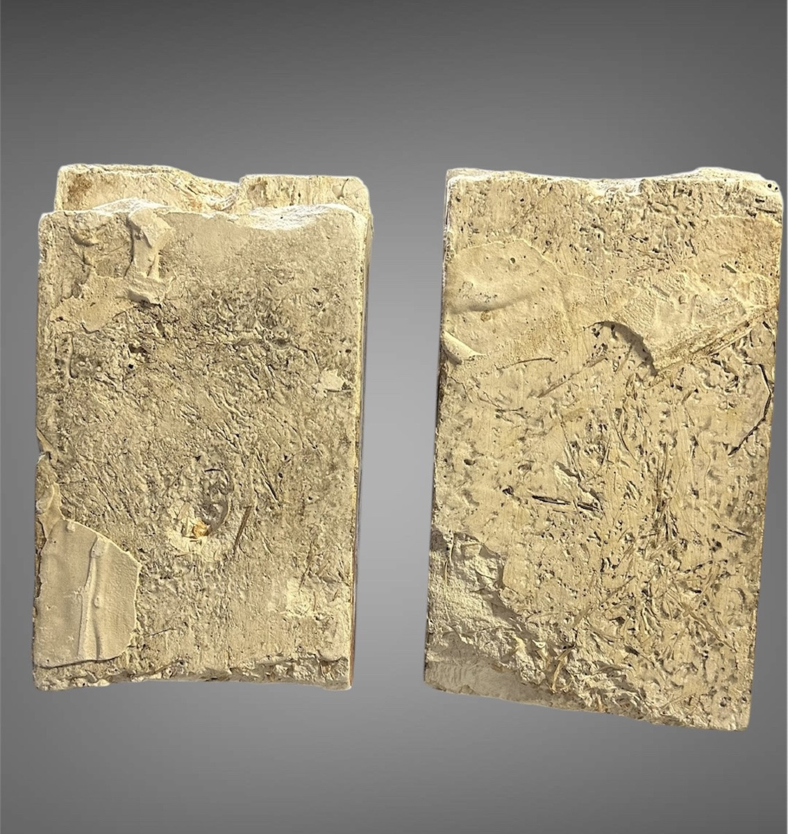 Coppia di teste di leone in stucco – XIX secolo-photo-7