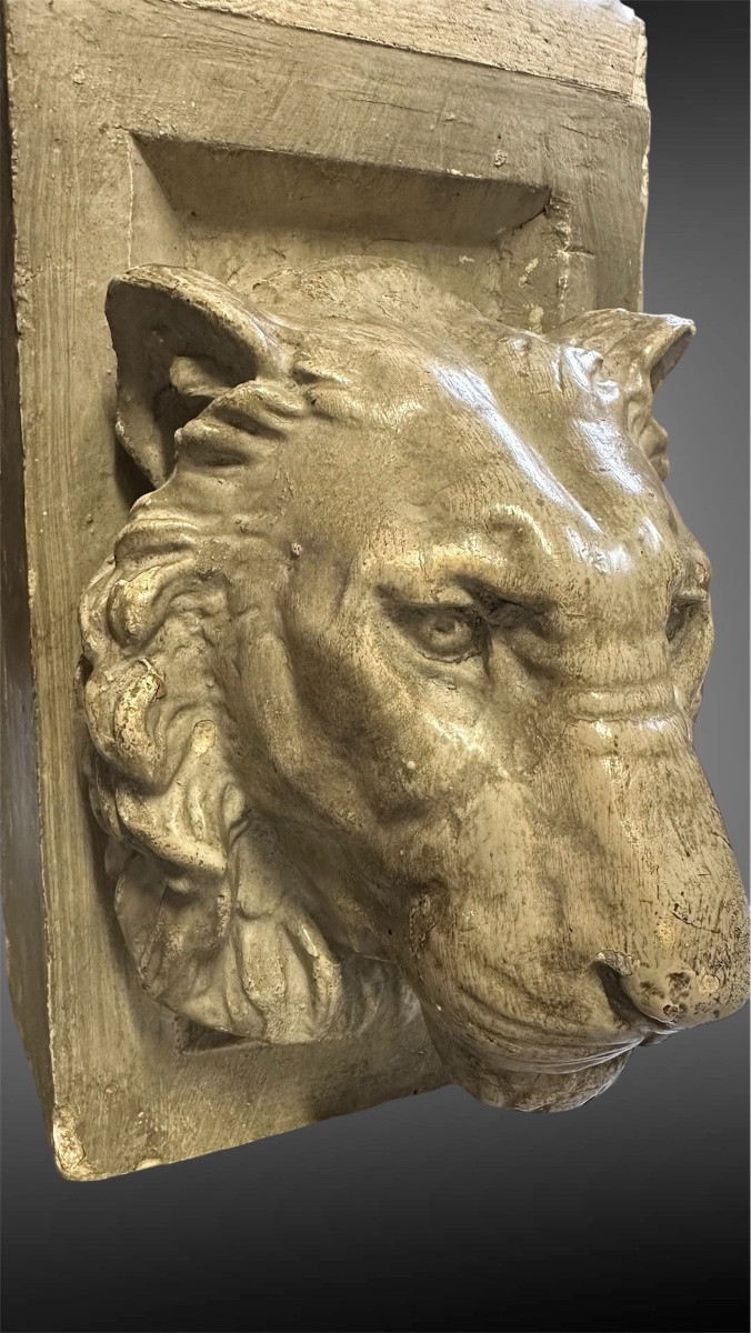 Coppia di teste di leone in stucco – XIX secolo-photo-8
