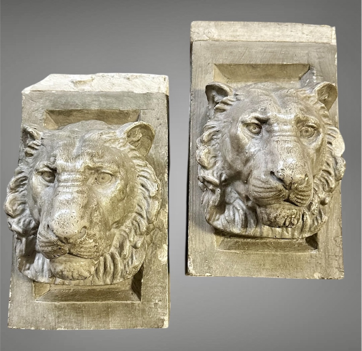 Coppia di teste di leone in stucco – XIX secolo