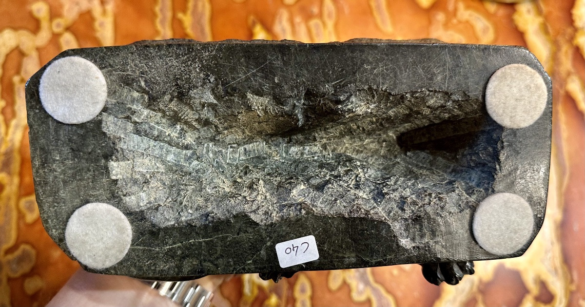 SCULTURA IN MARMO DEL LEONE DI LUCERNA DEL GRAND TOUR - XIX sec. -photo-6