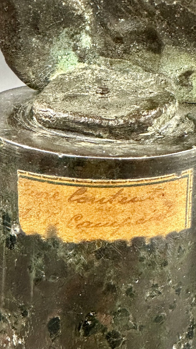 Busto in bronzo di giovane – Firmato T. Campajola Italia, inizio XX secolo -photo-2