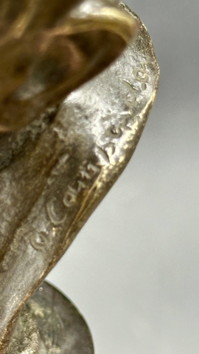 Busto in bronzo di giovane – Firmato T. Campajola Italia, inizio XX secolo -photo-4