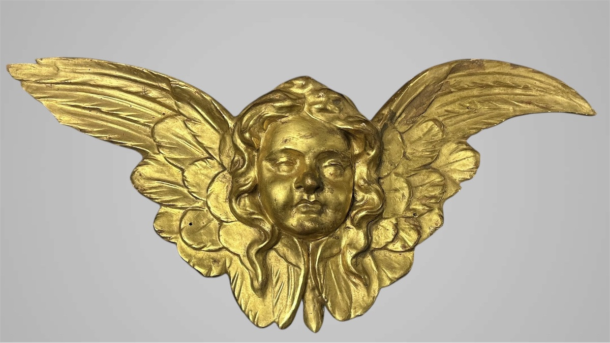 Coppia di cherubini alati in legno dorato – XVIII/ XIX secolo-photo-3