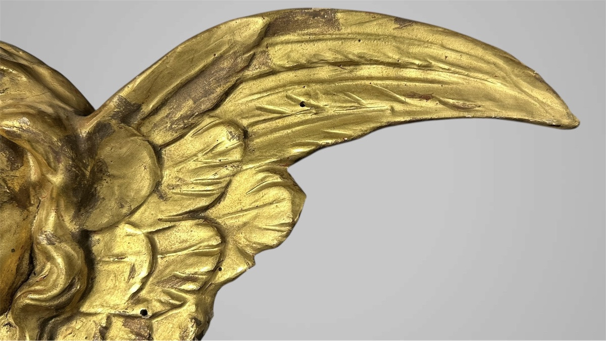 Coppia di cherubini alati in legno dorato – XVIII/ XIX secolo-photo-2