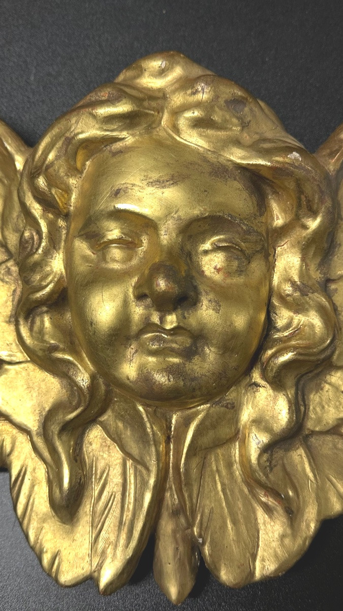Coppia di cherubini alati in legno dorato – XVIII/ XIX secolo-photo-3
