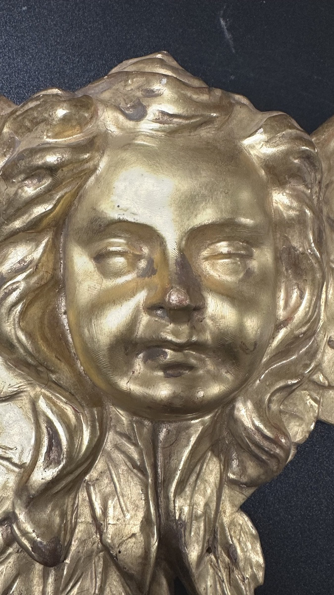 Coppia di cherubini alati in legno dorato – XVIII/ XIX secolo-photo-4