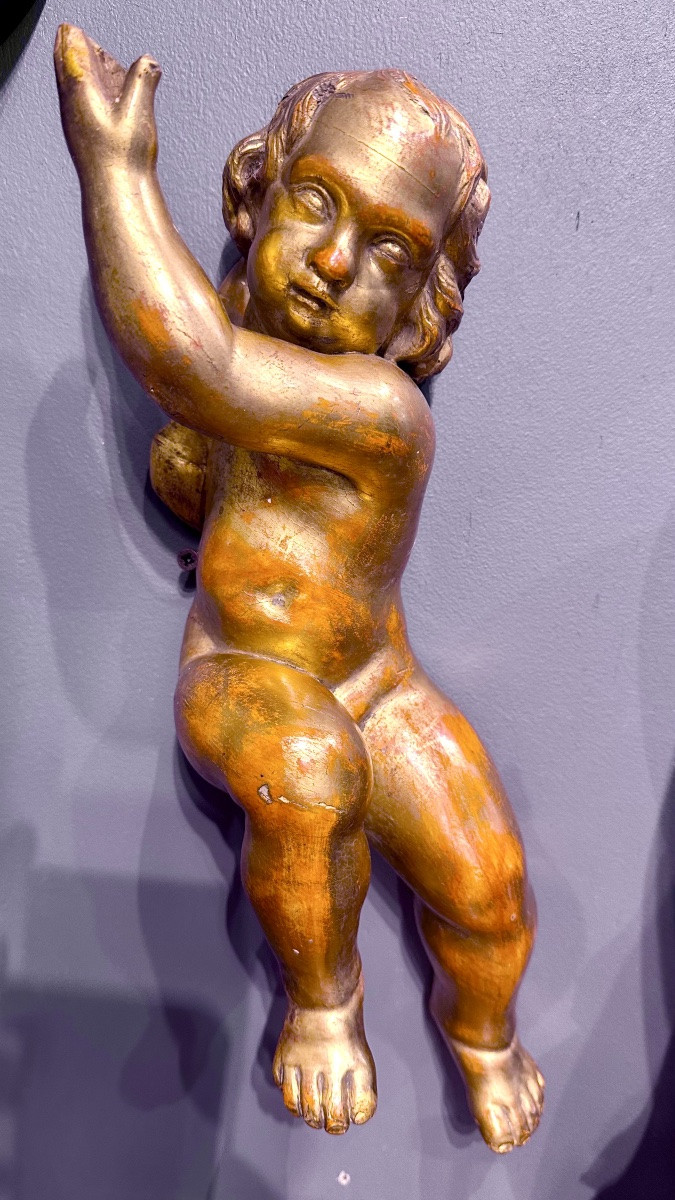 Coppia di putti, angeli scolpiti e dorati - XIX sec. -photo-3