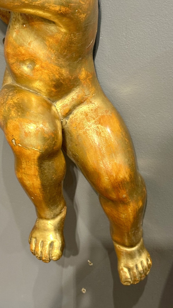 Coppia di putti, angeli scolpiti e dorati - XIX sec. -photo-4