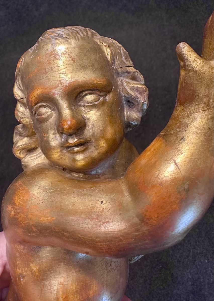 Coppia di putti, angeli scolpiti e dorati - XIX sec. -photo-3