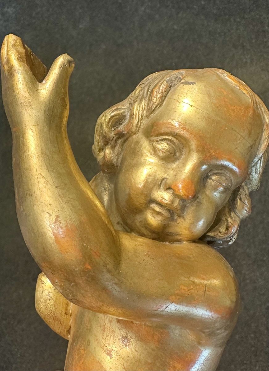 Coppia di putti, angeli scolpiti e dorati - XIX sec. -photo-4