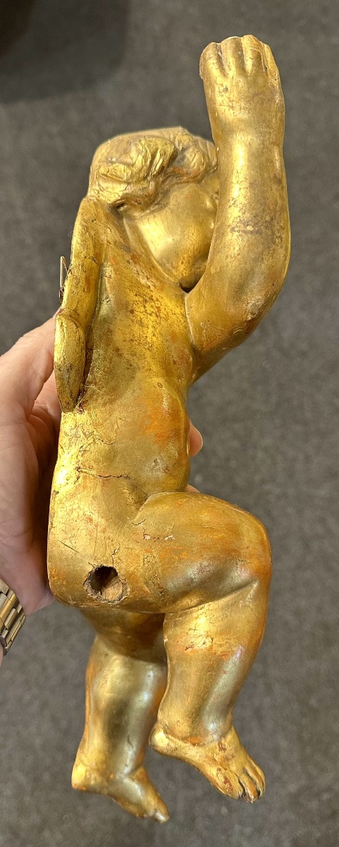 Coppia di putti, angeli scolpiti e dorati - XIX sec. -photo-5