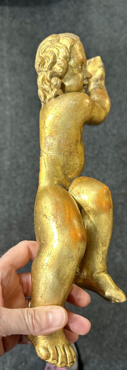 Coppia di putti, angeli scolpiti e dorati - XIX sec. -photo-6