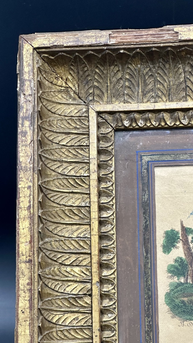 Incisione colorata “Diana e Cupido” - Neoclassico-photo-2