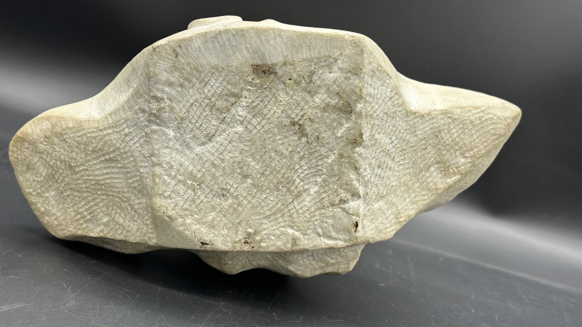 Scultura, busto in marmo " Fanciulla"(Giovanna D'Arco?)- XIX sec. -photo-5